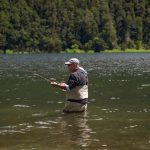 pexels-photo-30179774