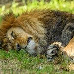 pexels-photo-18263550